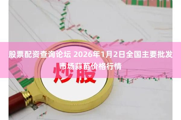 股票配资查询论坛 2026年1月2日全国主要批发市场蒜苗价格行情