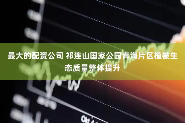 最大的配资公司 祁连山国家公园青海片区植被生态质量整体提升