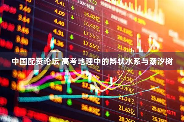中国配资论坛 高考地理中的辫状水系与潮汐树